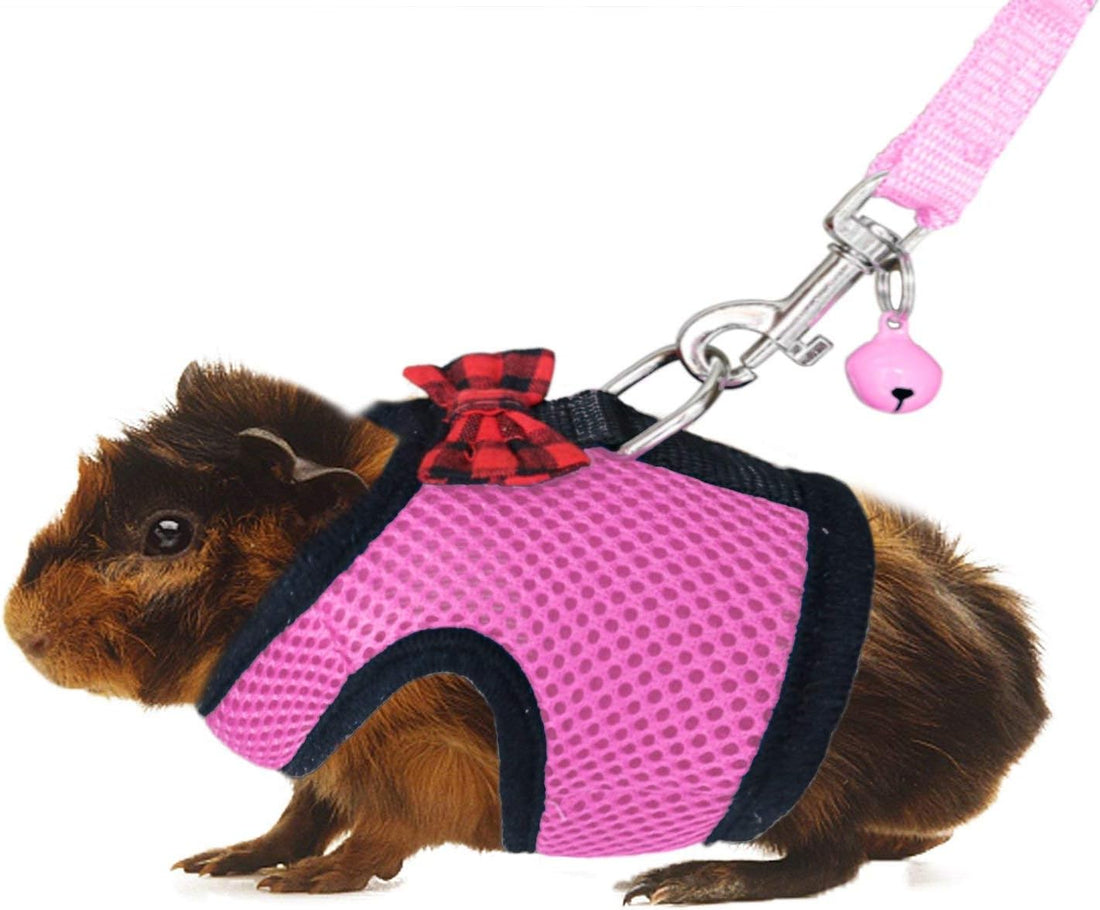 Rypet Guinea Pig Harness and Leash