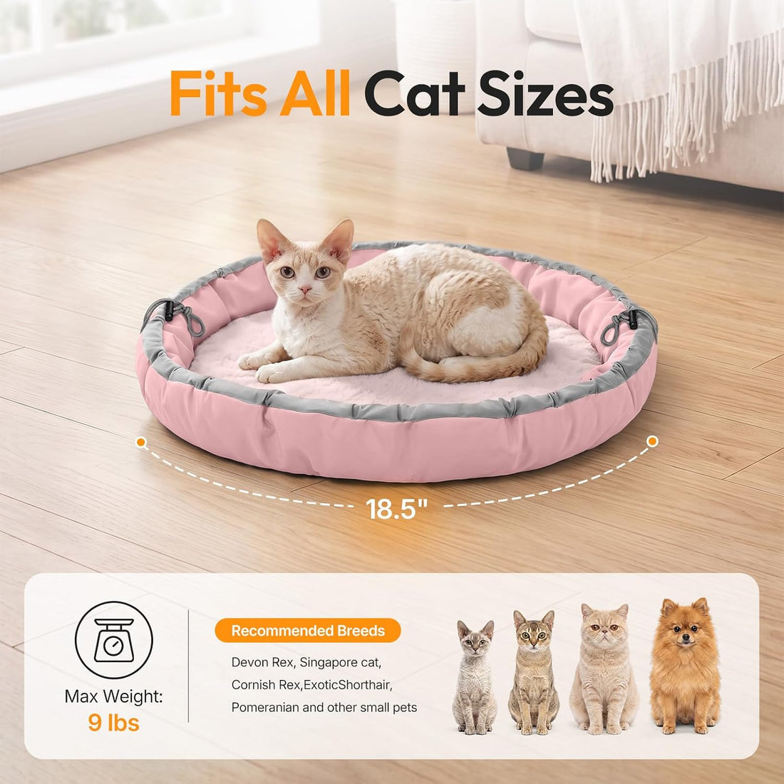 Cat Bed for Indoor Kitten Bed Washable