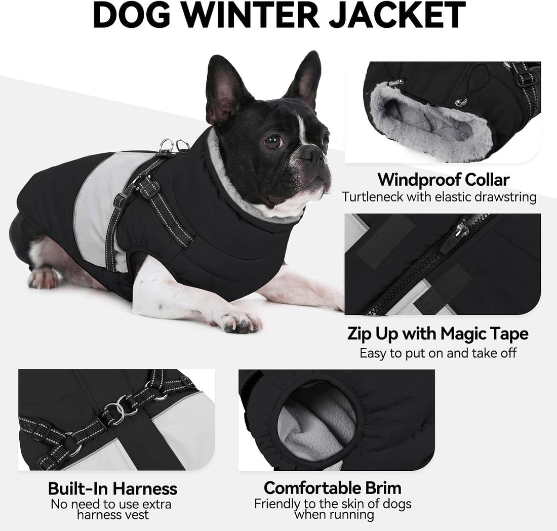 SUNFURA Small Dog Coat with Harness Built in