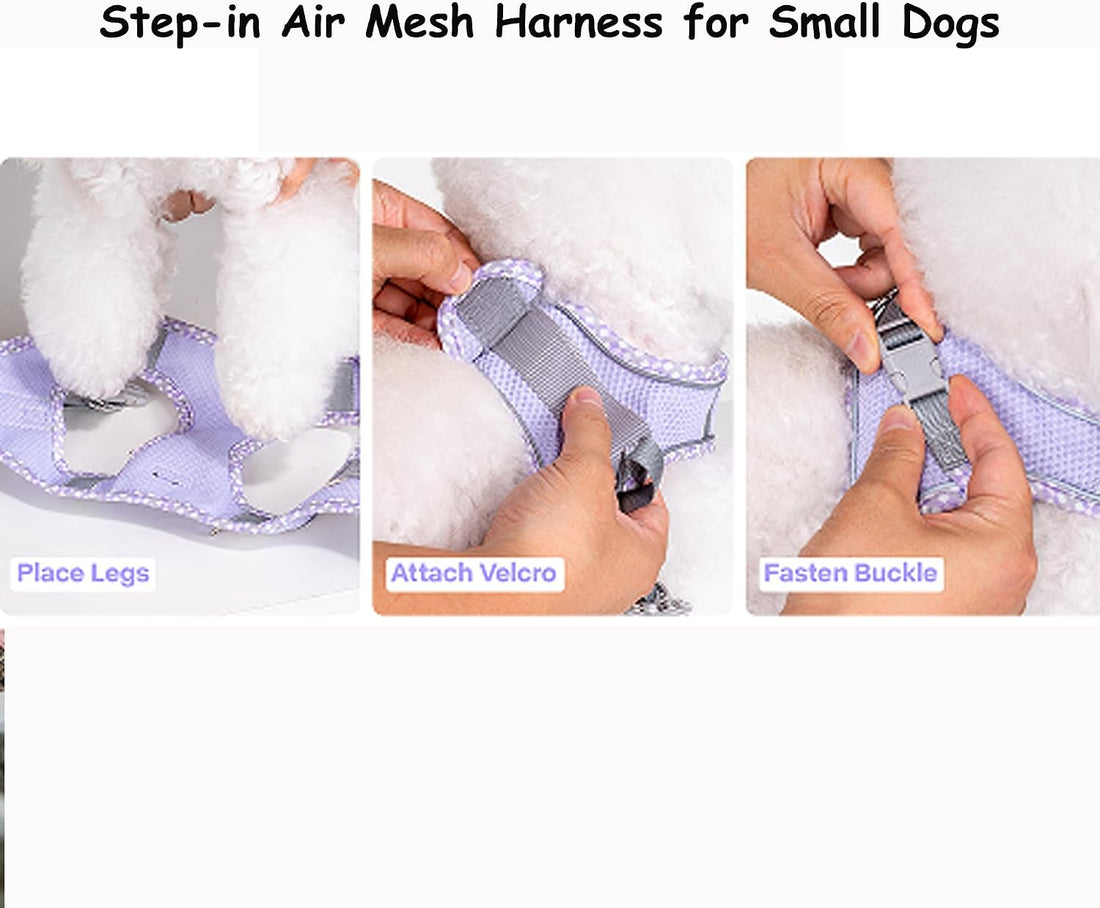 Petank Dog Harness for Small Medium Dogs No Pull