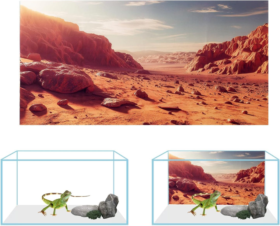 COMSUN 3 Pack Terrarium Background