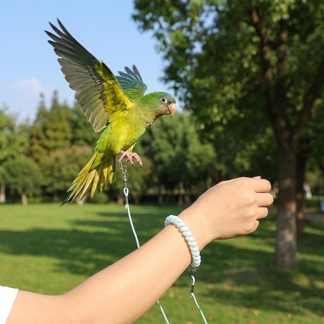 9.8ft Bird Flying Rope with 4 Foot Rings, Elastic Parrot Leash