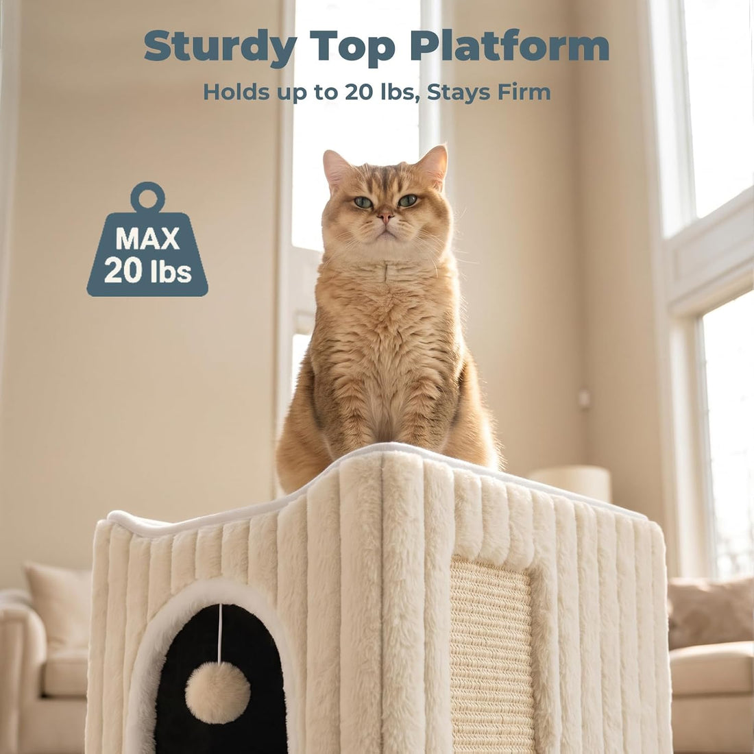Avont 3-in-1 Cat Cave Bed for Indoor Cats with Scratch Pad