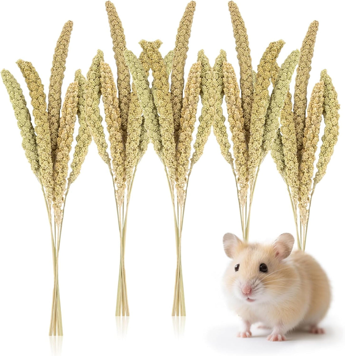 Sukh 42Pcs Hamster Sprays Natural - Sprays & Forage for Small Animals
