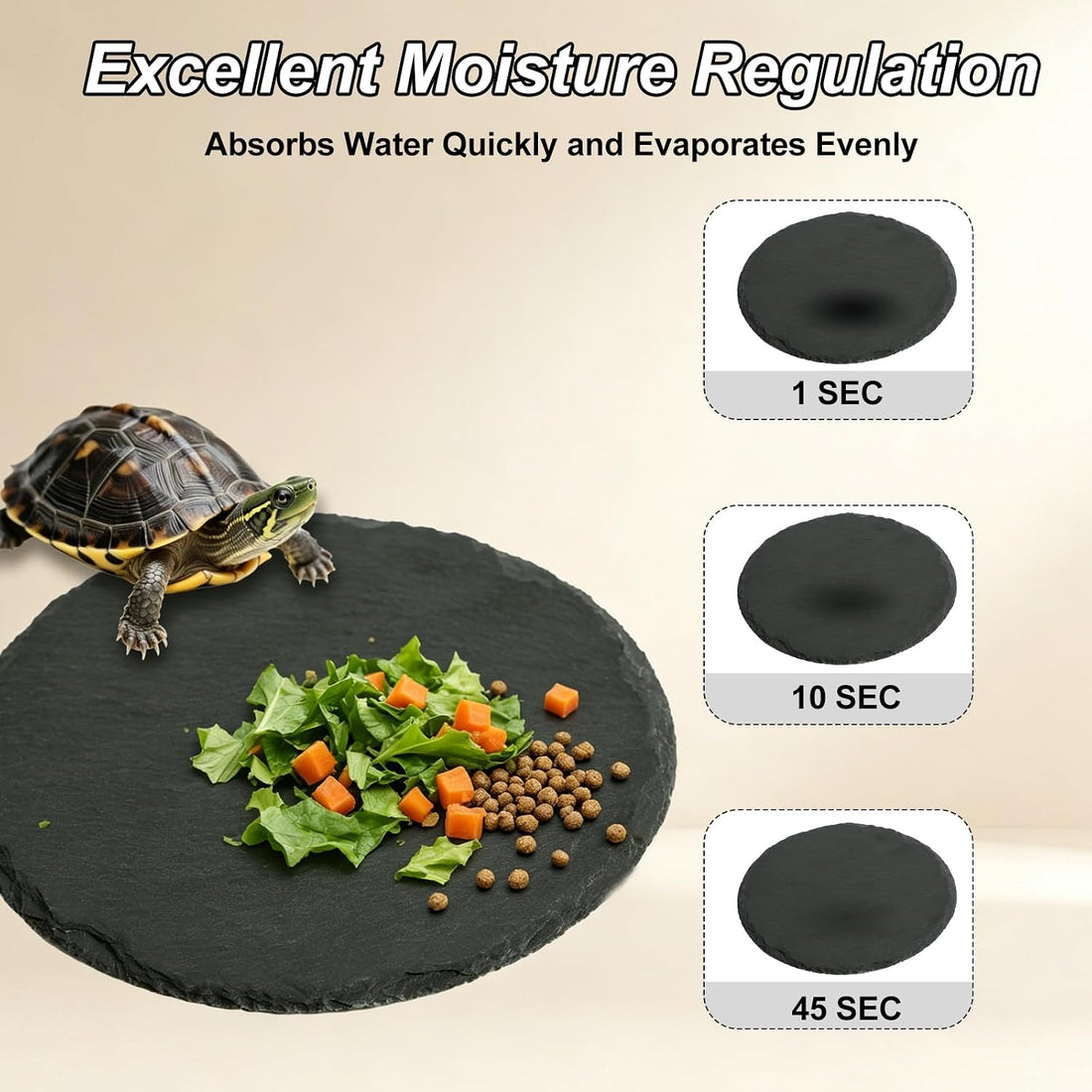 Reptile Tortoise Basking Slate Rocks Habitat Tiles Platform