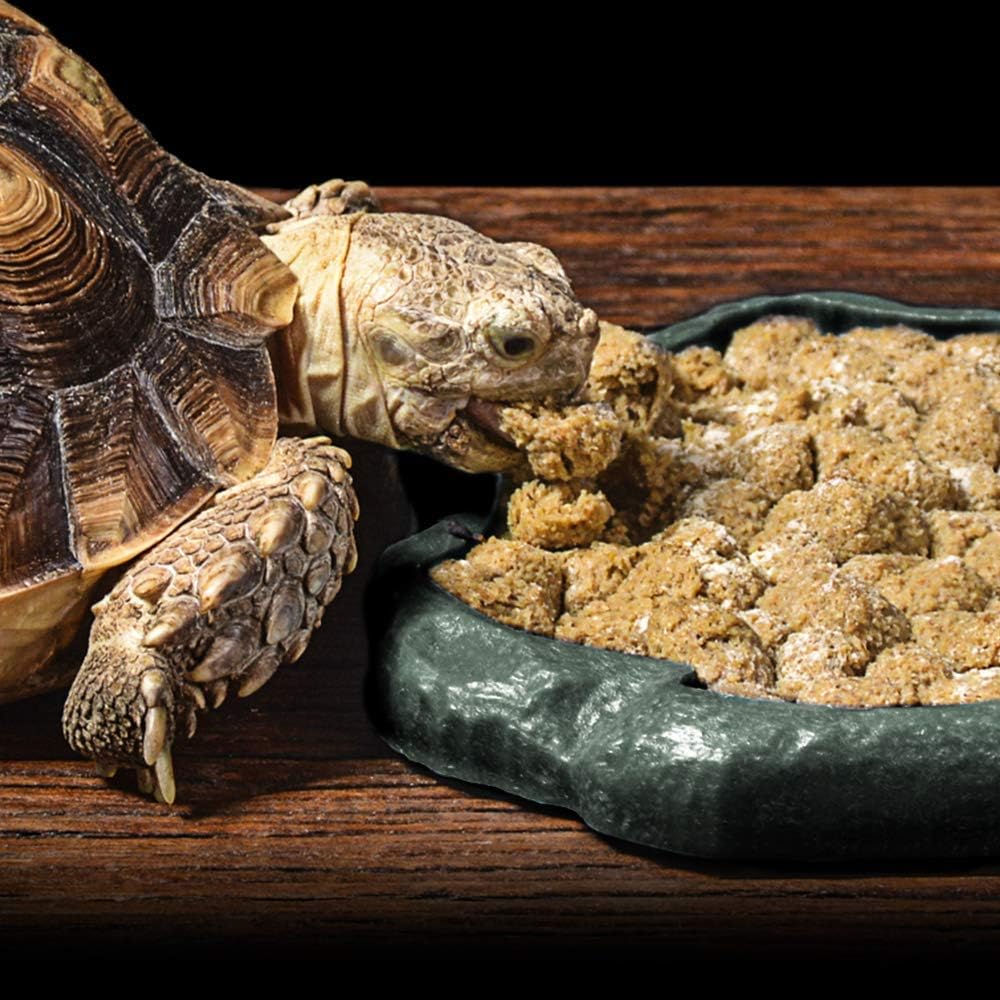 SLSON Small Reptile Feeder Terraium Bowl Plastic Shallow Reptile