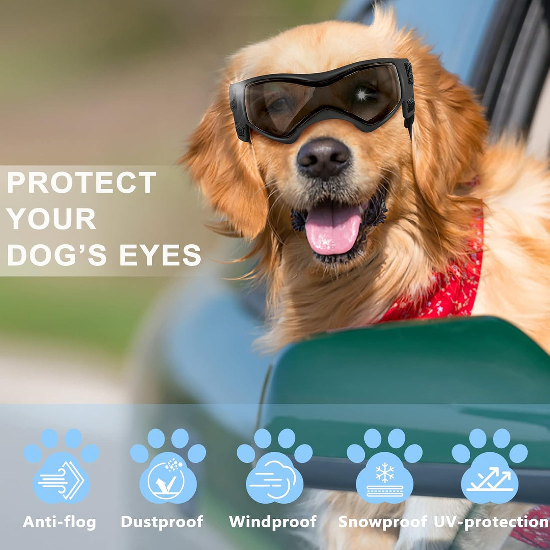 QUMY Dog Goggles Small Medium Breed Dog Sunglasses UV Protection
