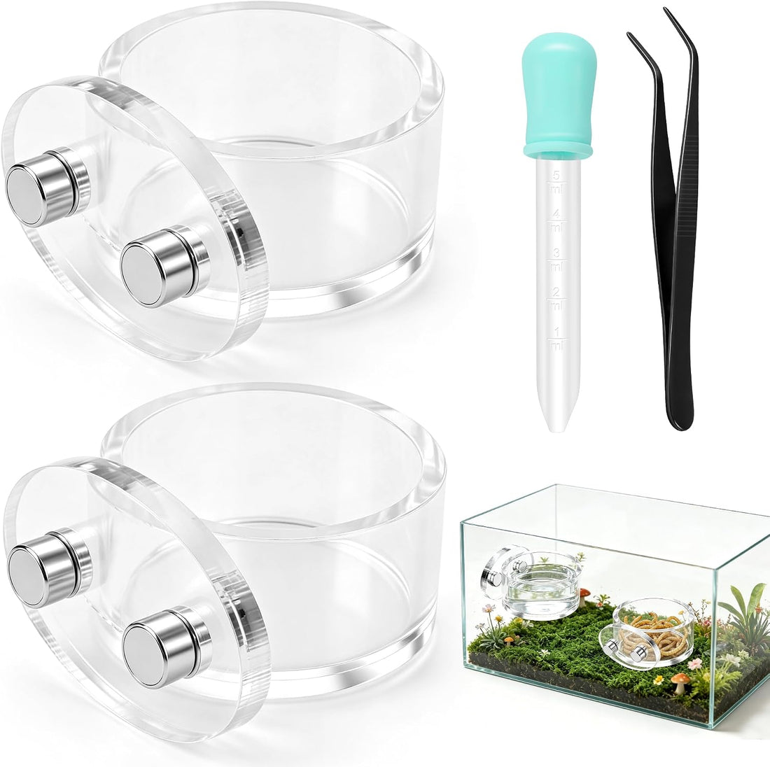 Upgrad Jumping Spider Magnetic Water Feeding Dish for Small Pet