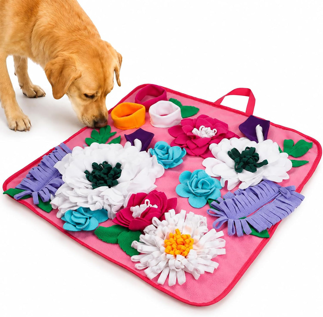 Vextronic Snuffle Mat for Dogs, Large Dogs Slow Feeder