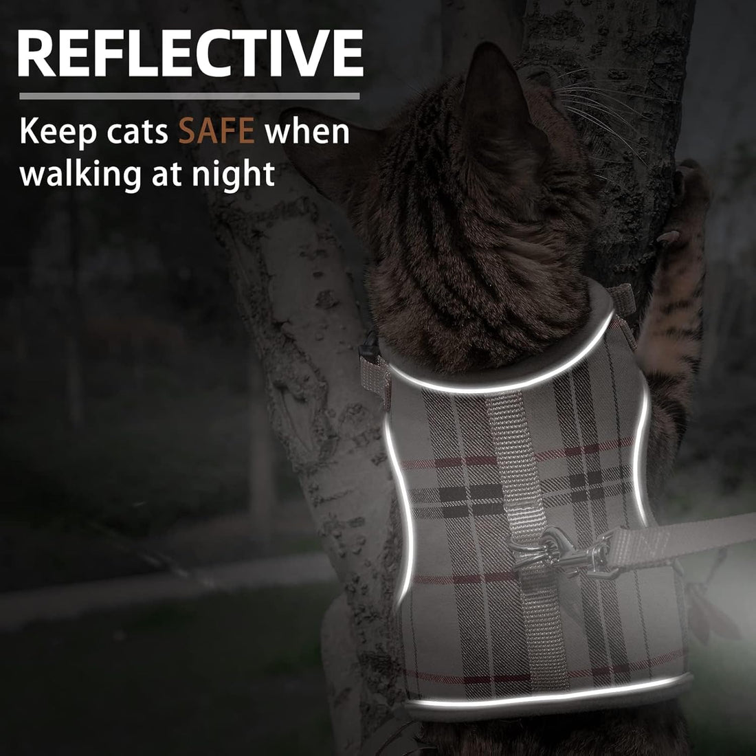 PUPTECK Soft Mesh Cat Vest Harness and Leash Set Puppy Padded Pet