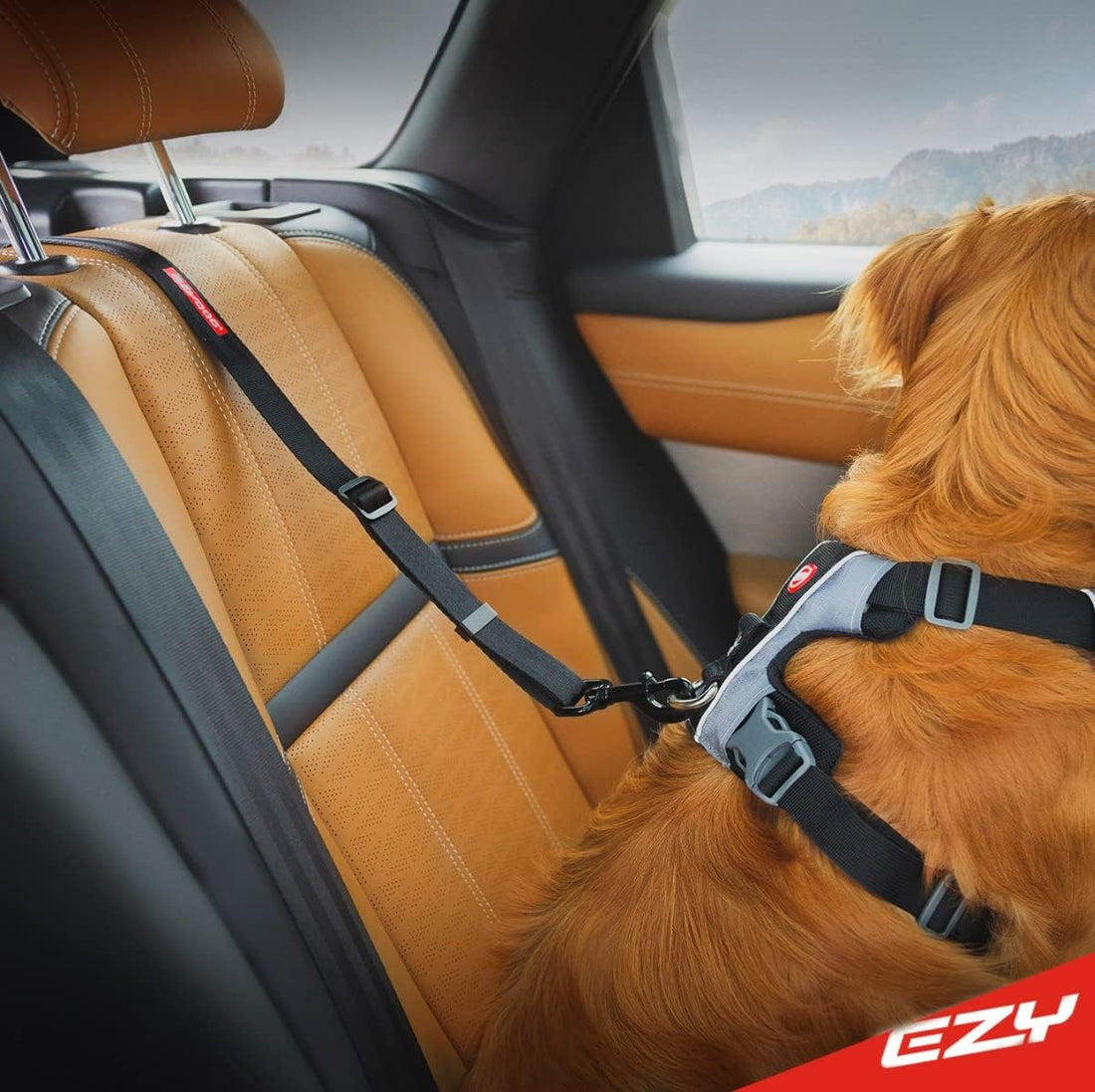 EzyDog Click - Dog Seat Belt Car Restraint - 17in - 26in