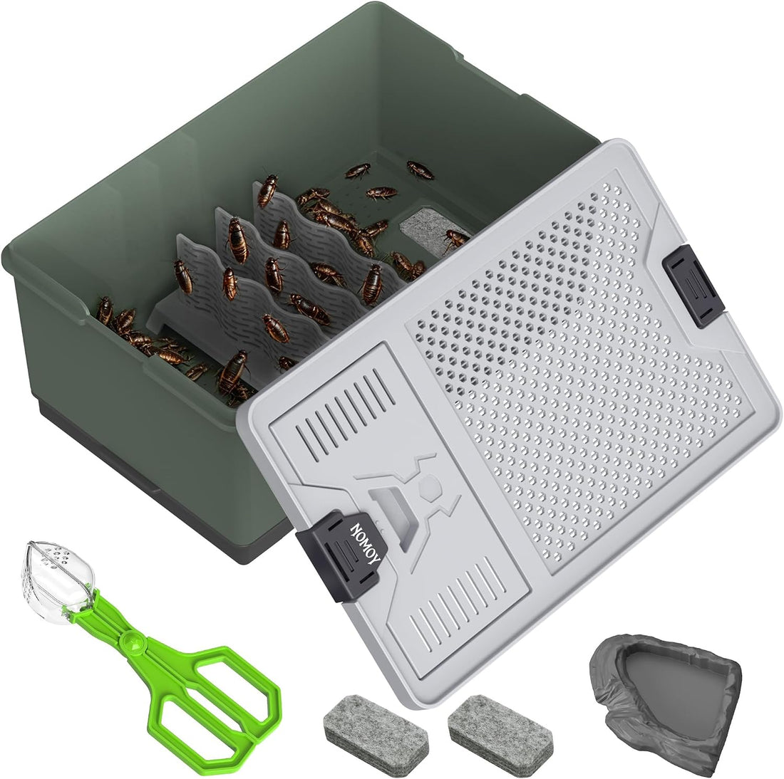 Self-Cleaning Cricket & Roach Feeder Habitat with Escape-Proof Lid