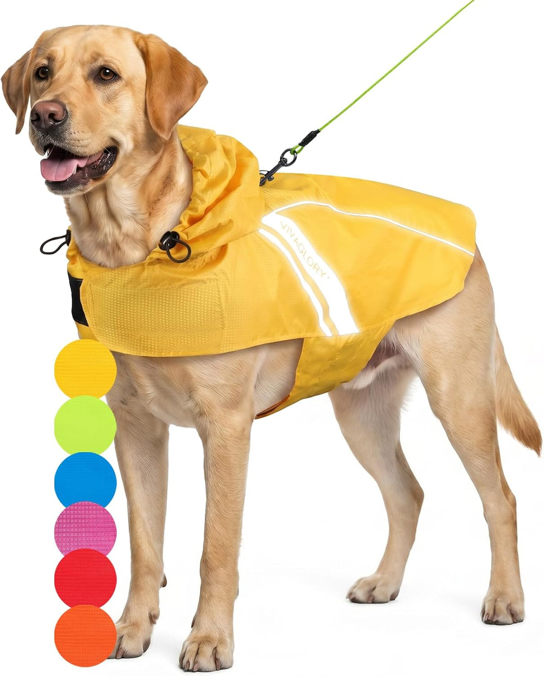VIVAGLORY Dog Raincoat Wetoff Dog Rain Coat, S