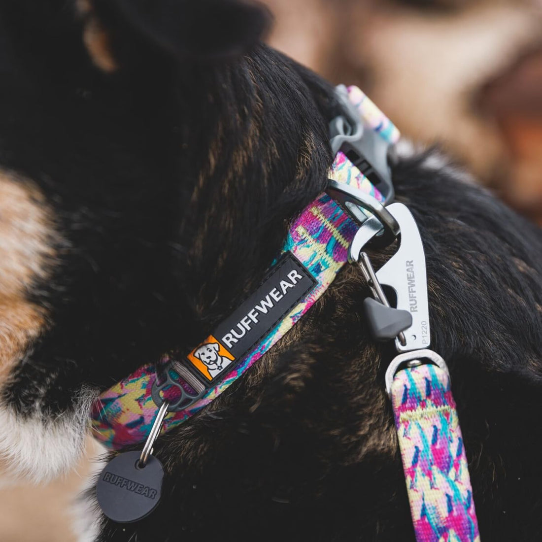 Ruffwear, Front Range Dog Collar
