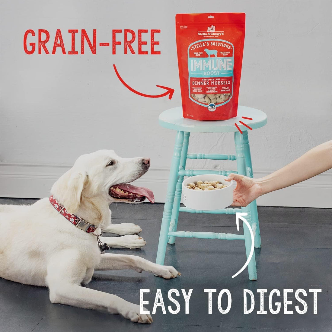Stella & Chewy's – Stella’s Solutions Skin & Coat Boost