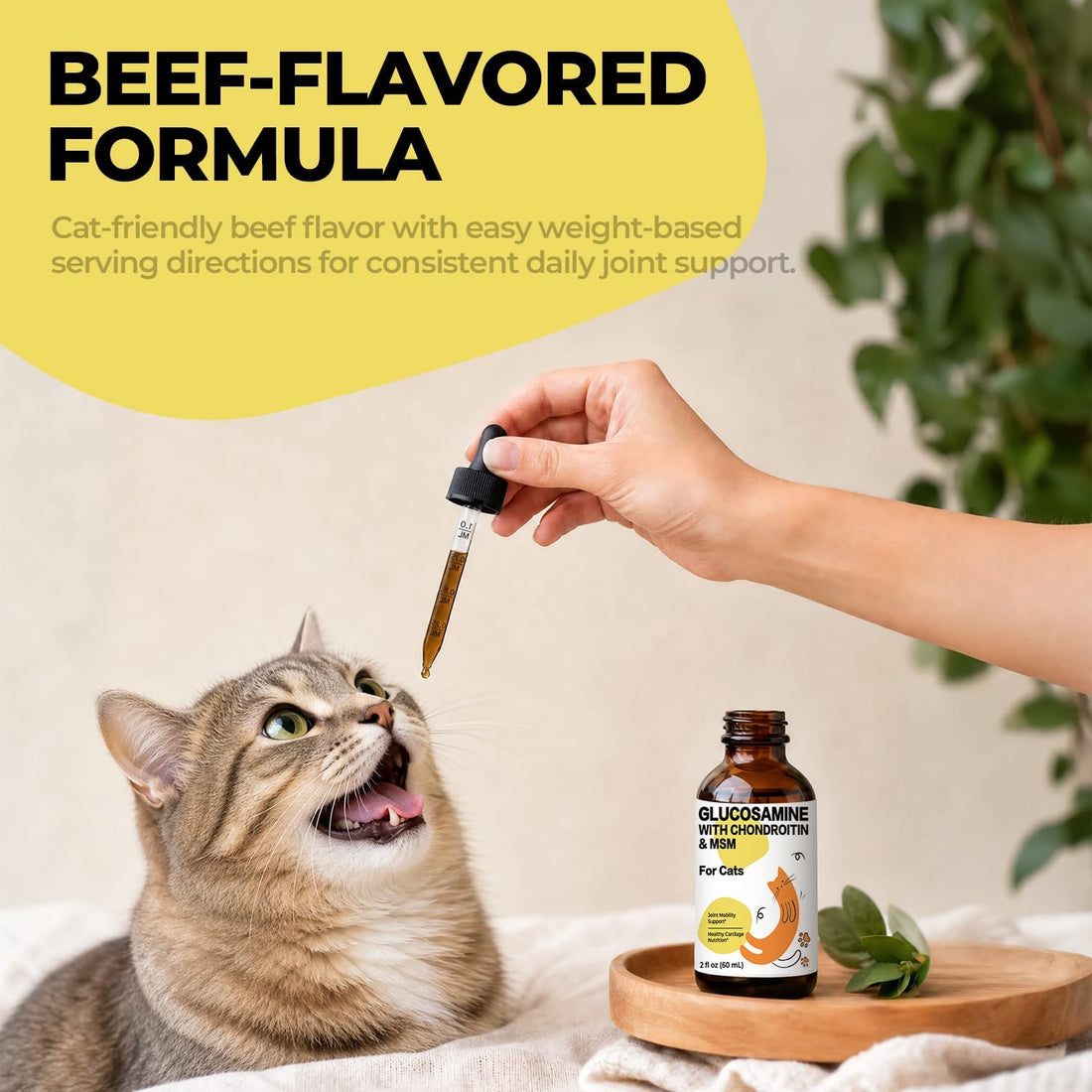 Glucosamine for Cats, Senior Hip & Joint Support