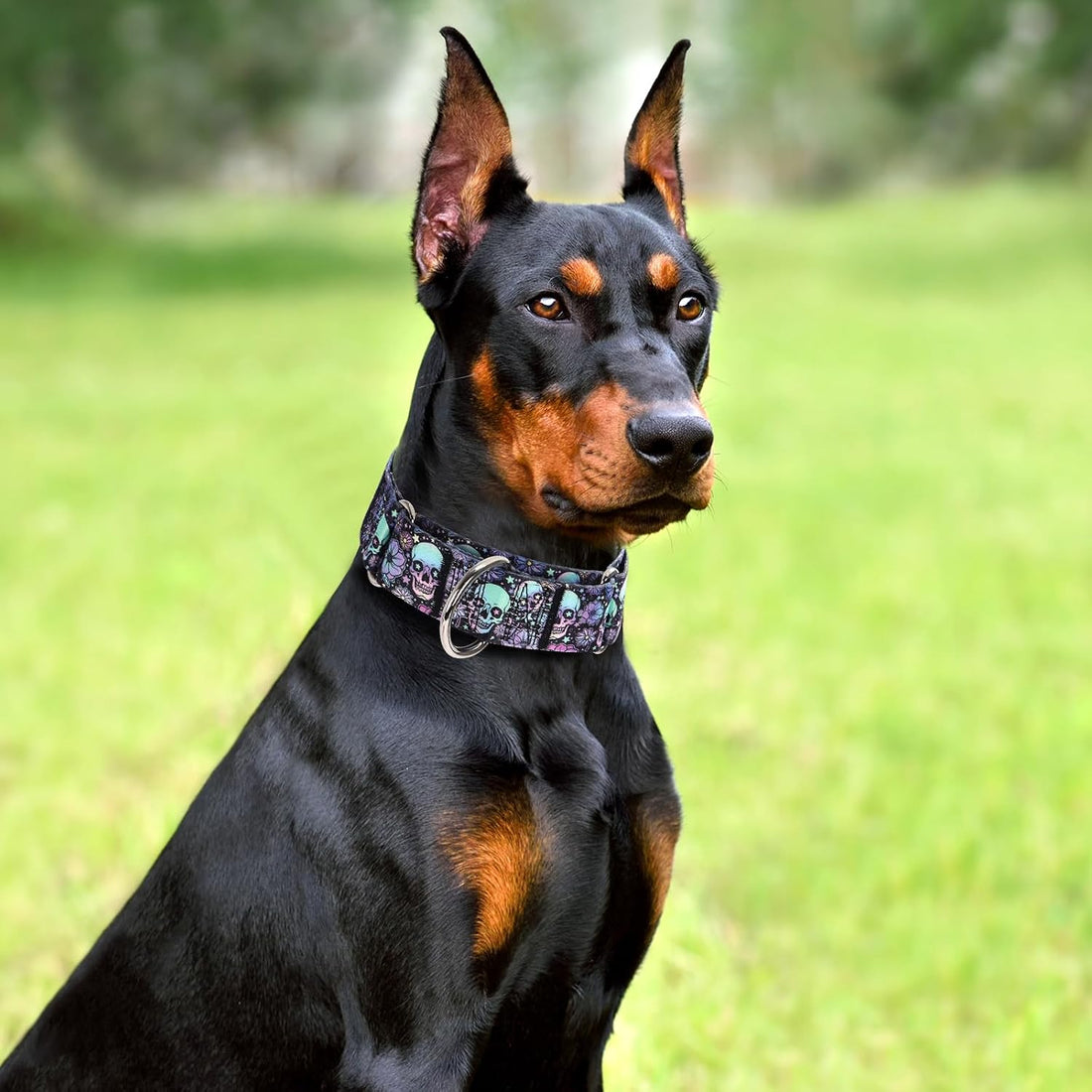 1.5 inch Skulls Martingale Collar for Dogs,Training Collar for Large