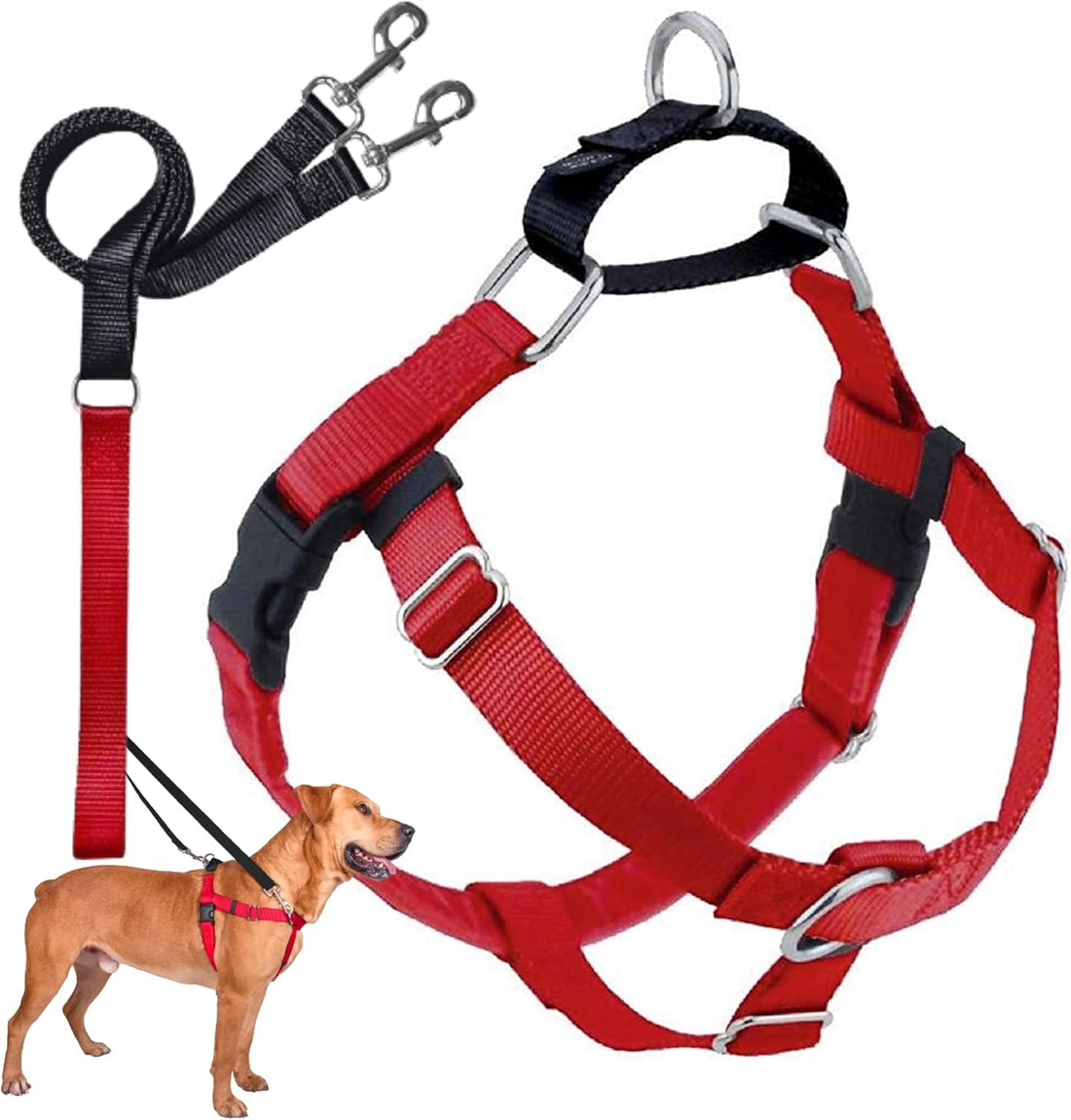 2 Hounds Design Freedom No Pull Dog Harness and Leash, 1" LG