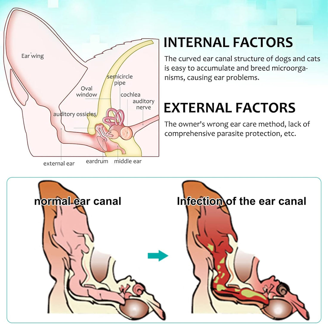 Ear Mite for Dogs & Cats, Pet Ear Infection Treatment Solution