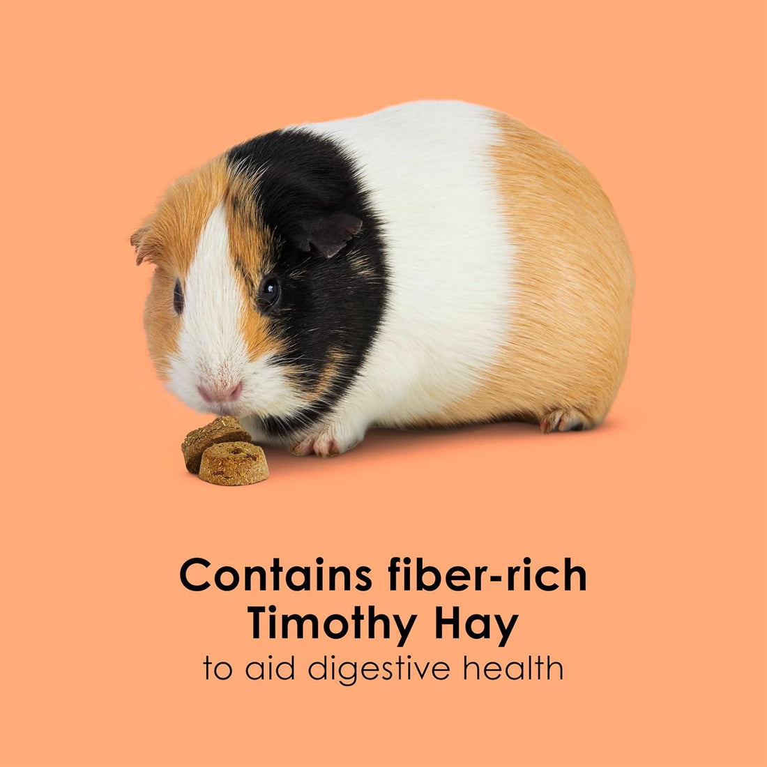 Kaytee Super C Bites Guinea Pig Treats, Cranberry, 4 Oz