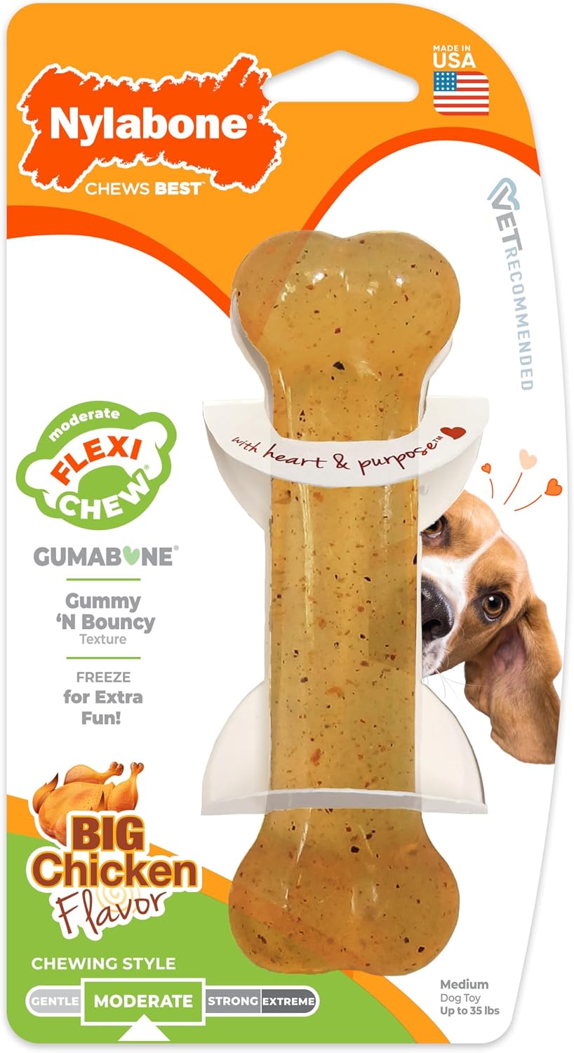 Nylabone Flexi Chew Gumabone Dog Chew Toy, Chicken Flavor