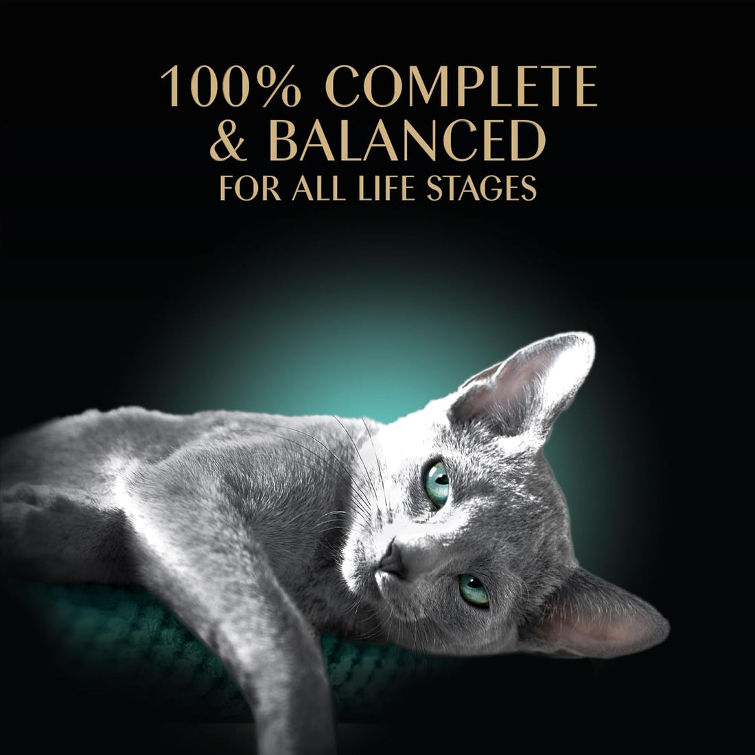 Sheba Gravy Indulgence Wet Cat Food, Variety Pack, 2.6 oz, 12 Count