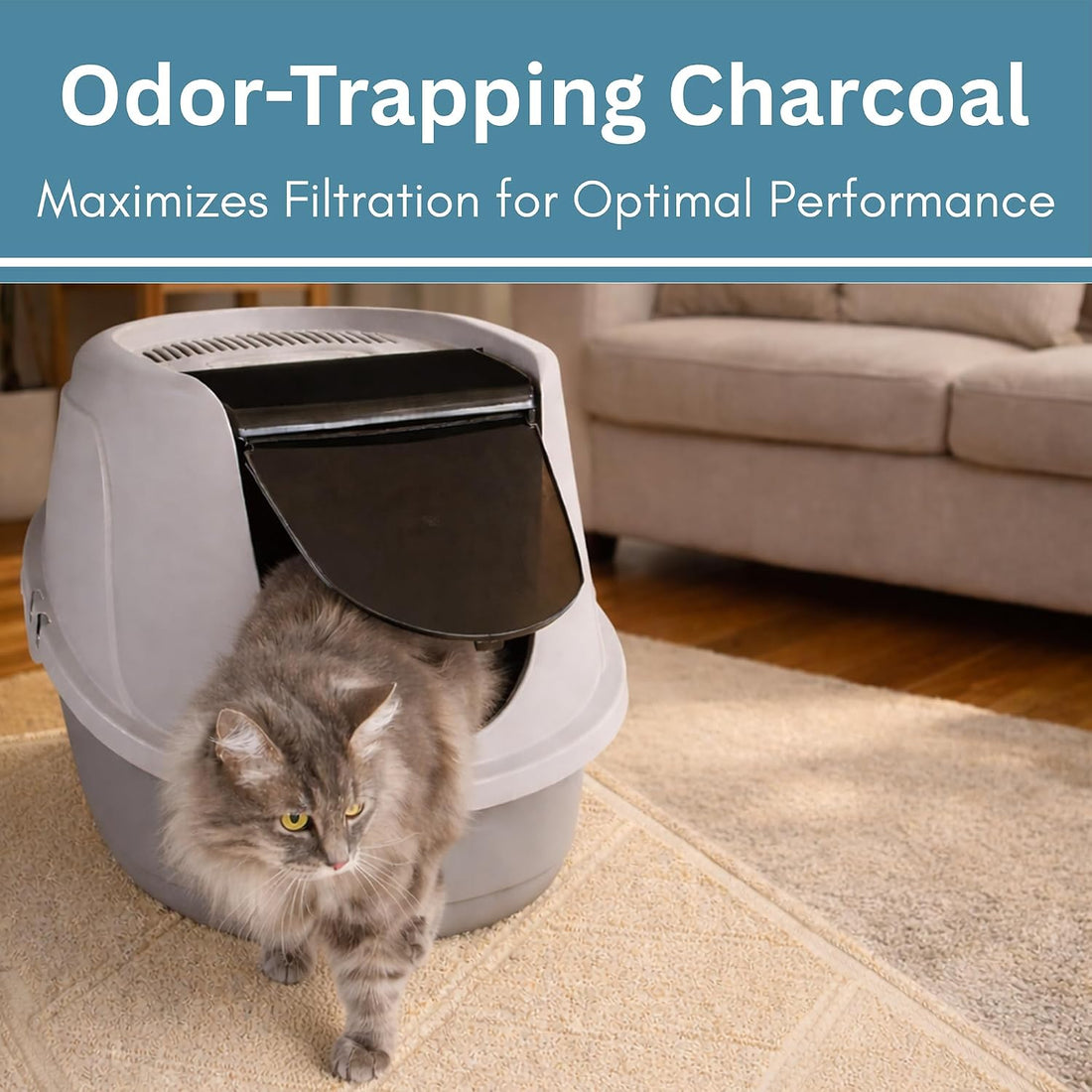 Fresh Headquarters 6-Pack Cat Litter Box Filter Replacement