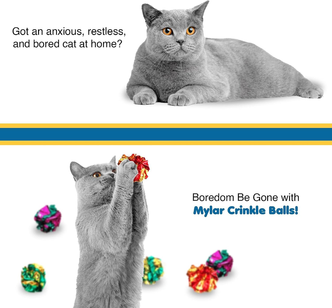 SunGrow Cat Crinkle Balls, Mylar Interactive Toys for Indoor Cats