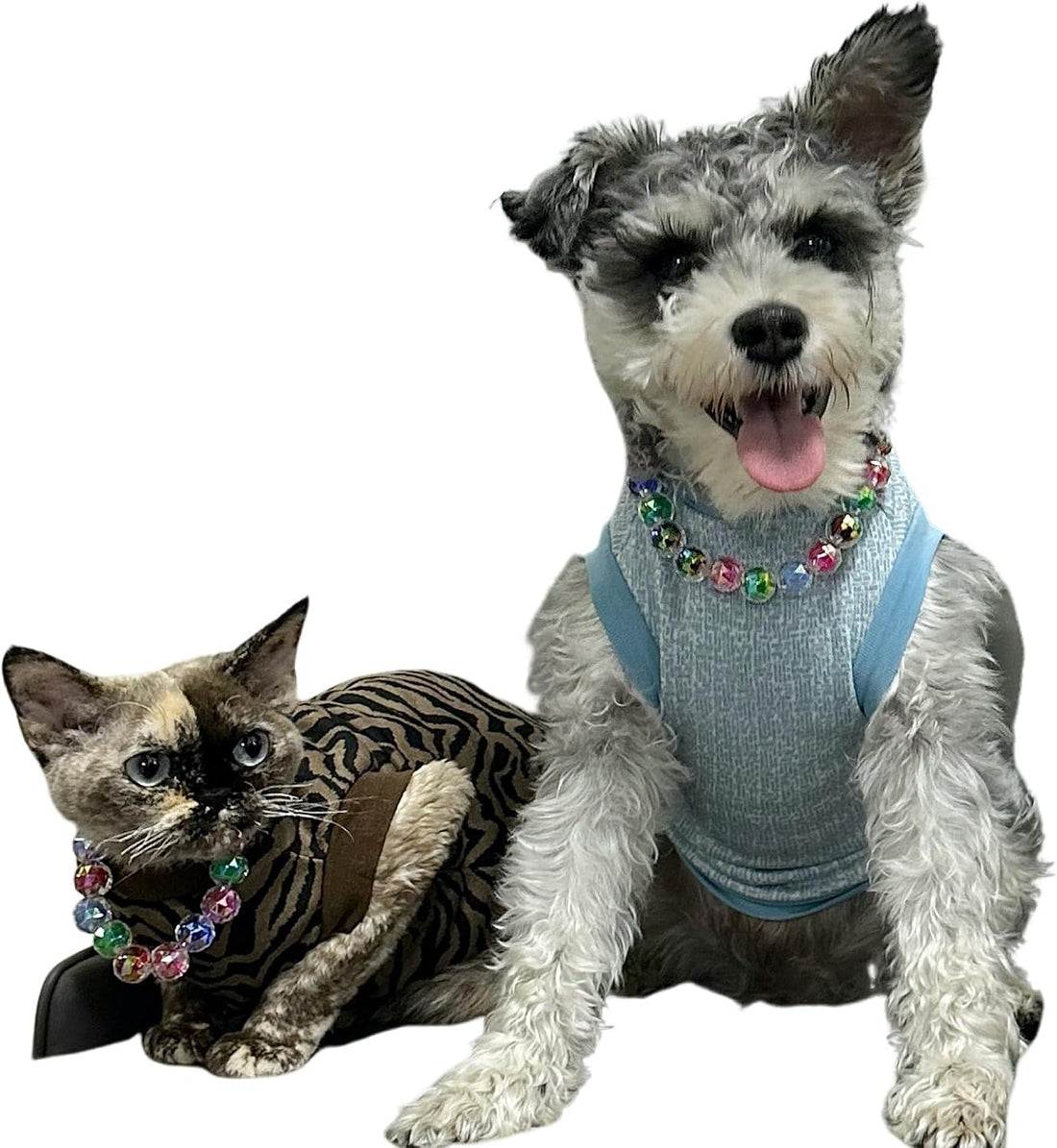 Adjustable Dog Necklace with Elegant Sparkling Colorful Crystal Pearl