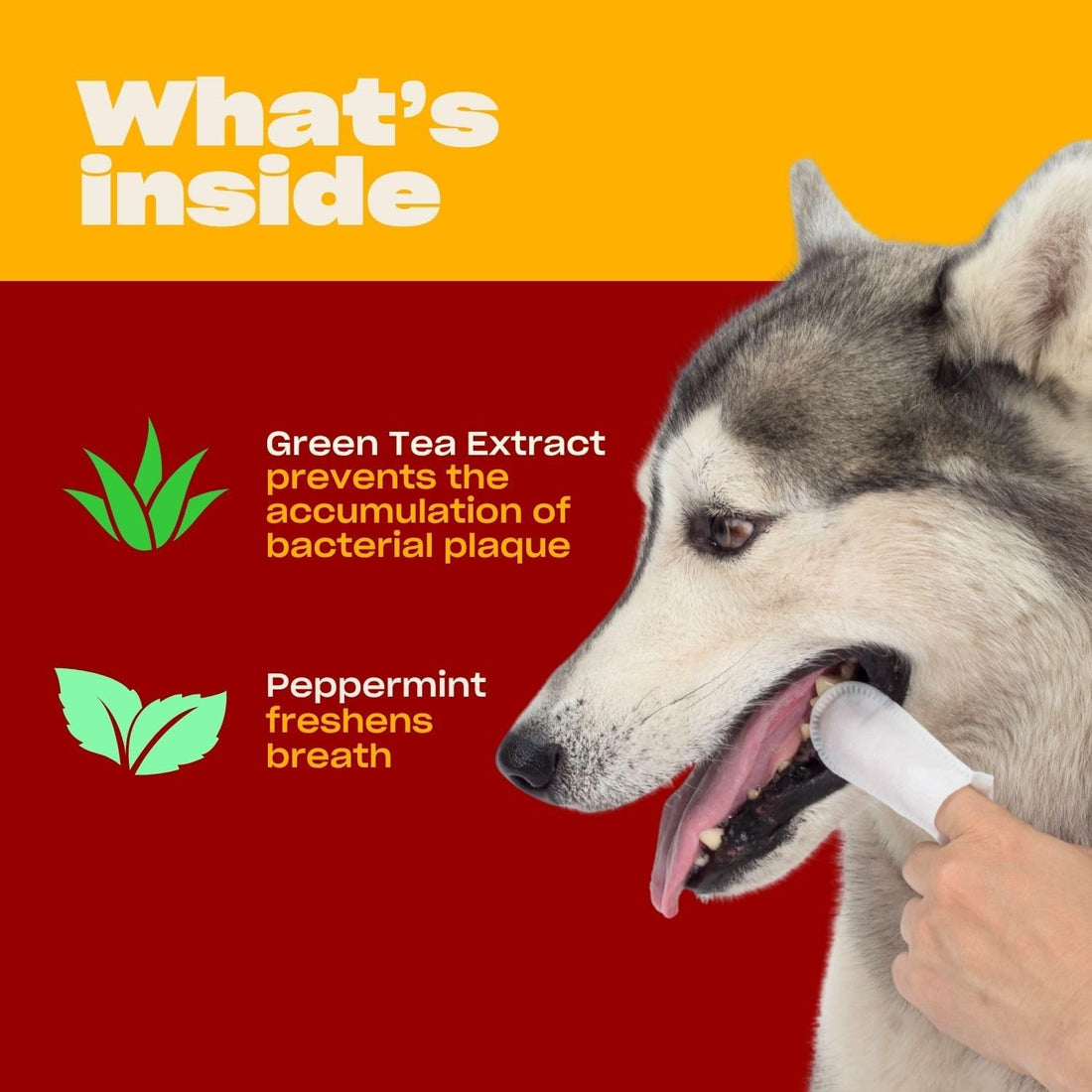 OH NORMAN! Dog Dental Wipes - Vet-Approved Pet Dental Finger Wipes