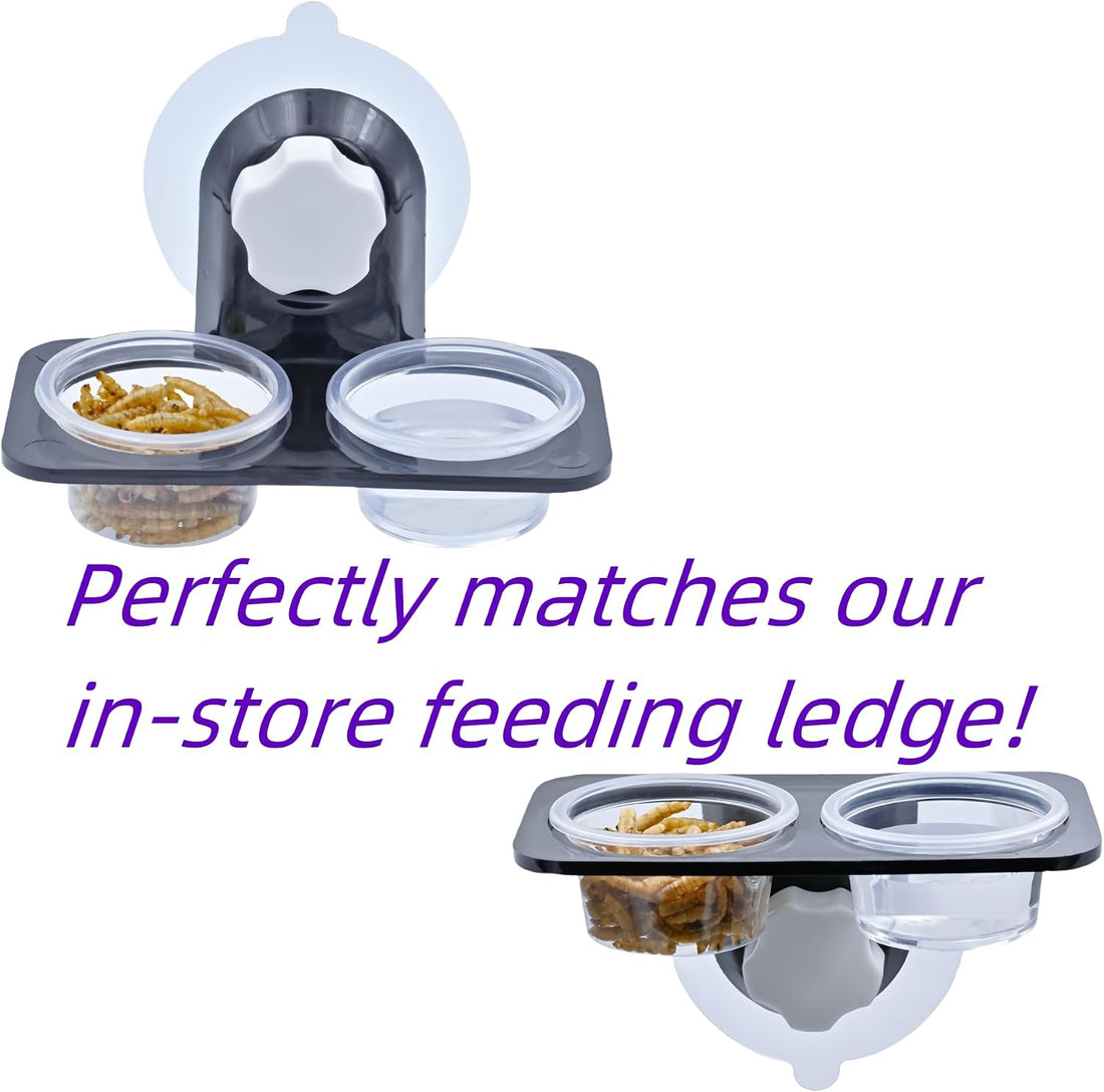 Lizard Crested Gecko Food Water Feeding Cups, 100 pcs, 1 oz