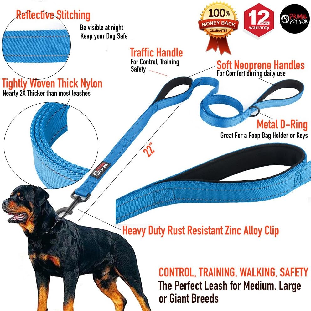 Primal Pet Gear Dog Leash 8ft Long - Blue - Traffic Padded Two Handle