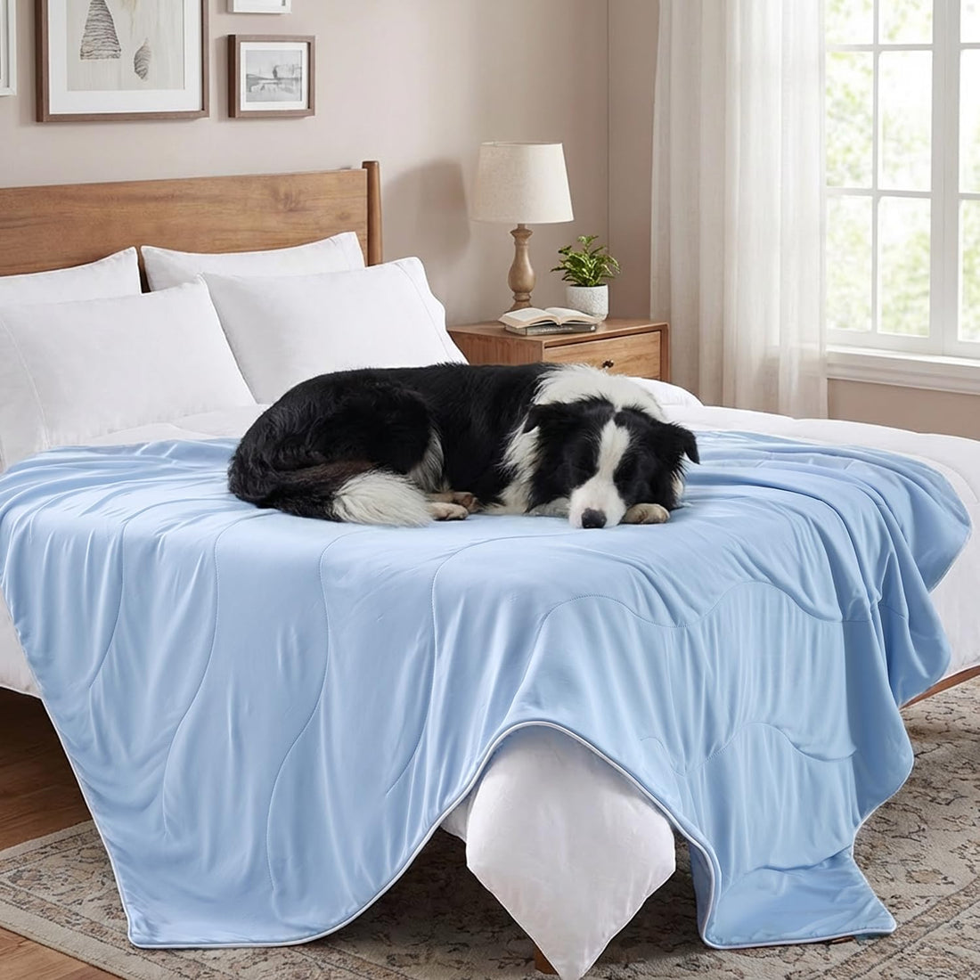 ZOMISIA Breathable Cooling Blanket for Large Dogs