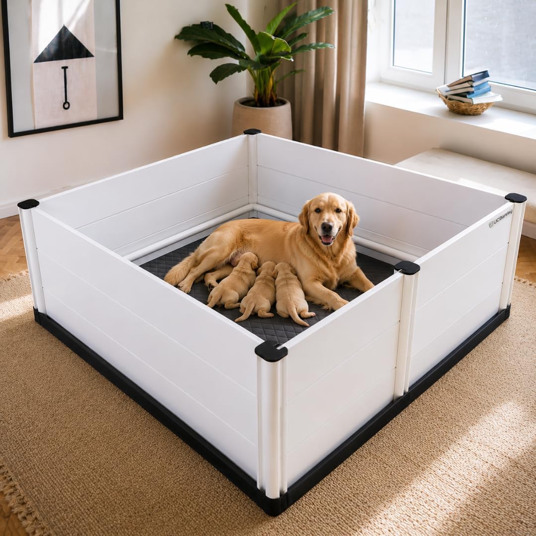 Whelping Box for Dogs & Puppies