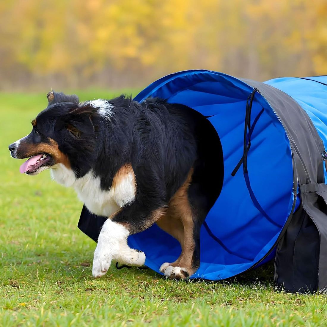 28 in 18 Foot Blue Extra Large Dog Agility Tunnel with Sandbags Dogs