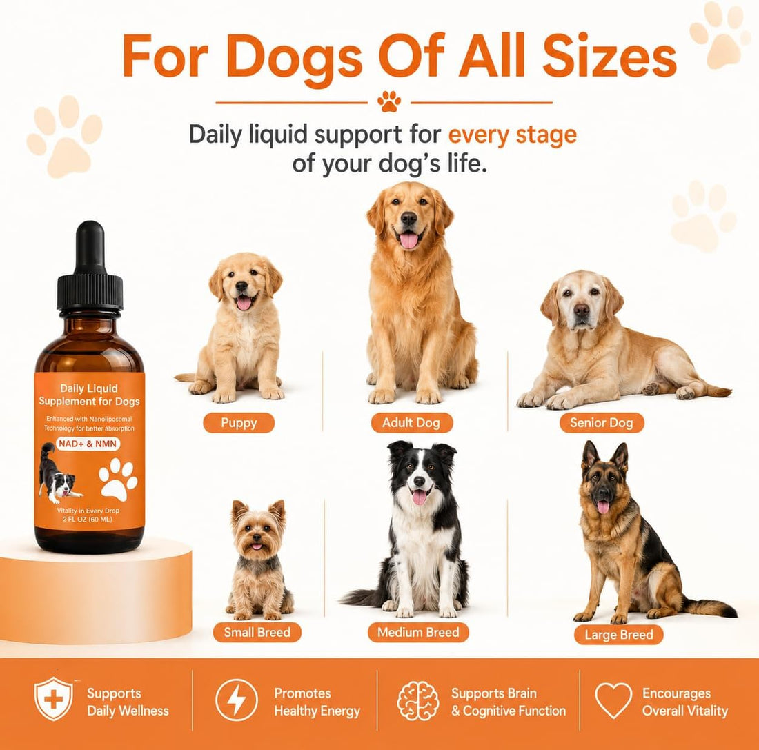 Dog Longevity Support Supplement with NMN, NAD+, CoQ10 & Resveratrol