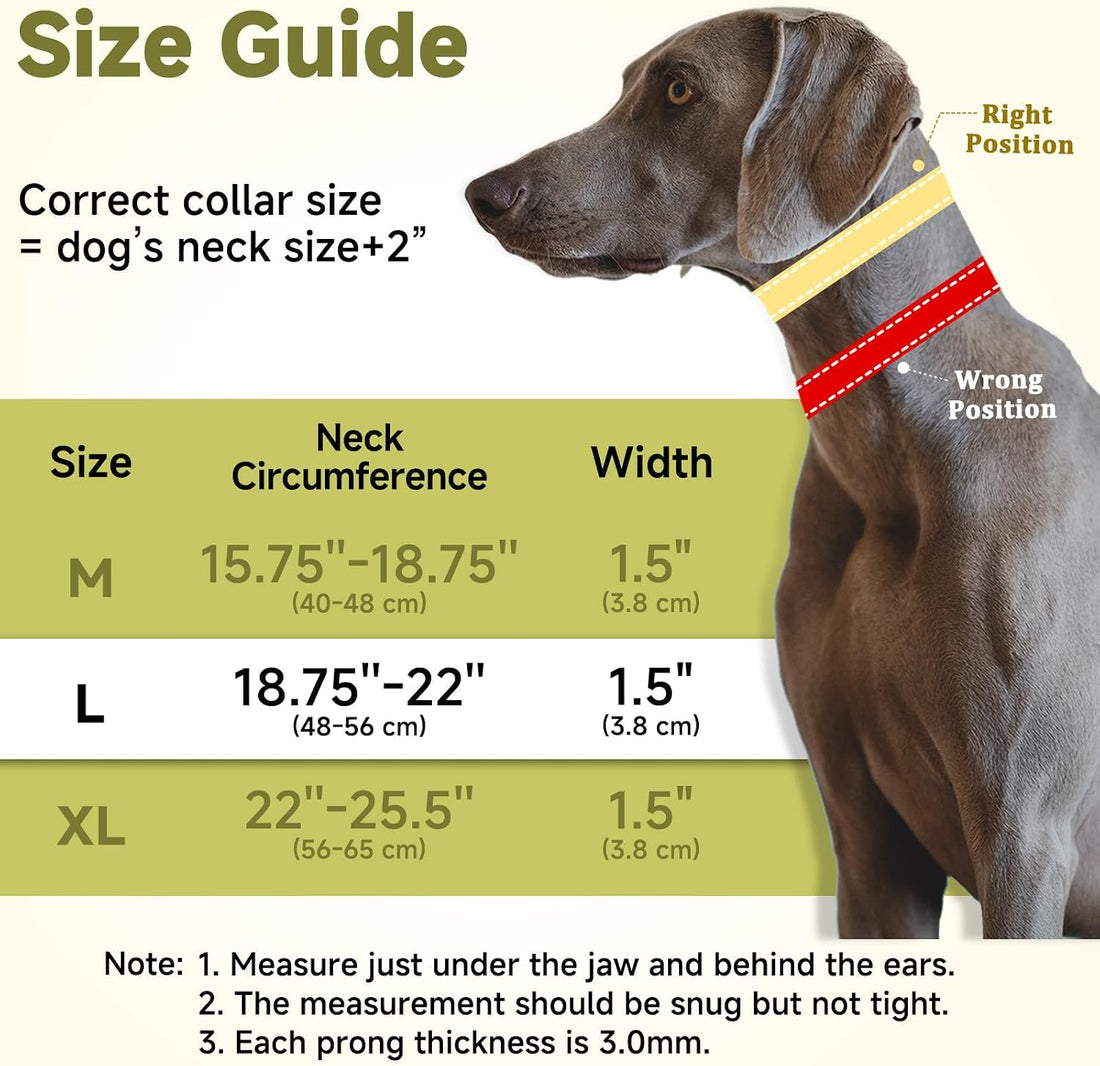Mayerzon Martingale No Pull Dog Collar with Alloy Buckle, Green, L