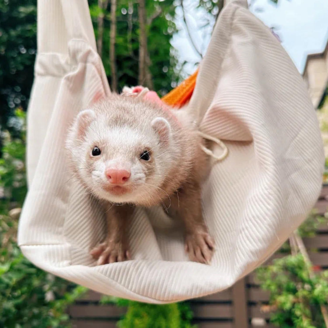 Ferret Sling Carrier, Front Backpack for Ferret Rabbit Puppy Kitten