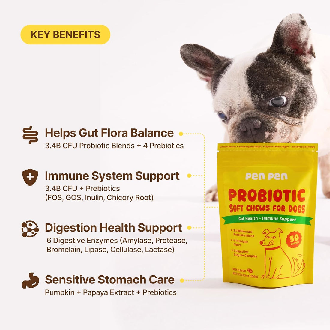 PENPEN Probiotics for Dogs, Dogs Probiotics for Digestive Health