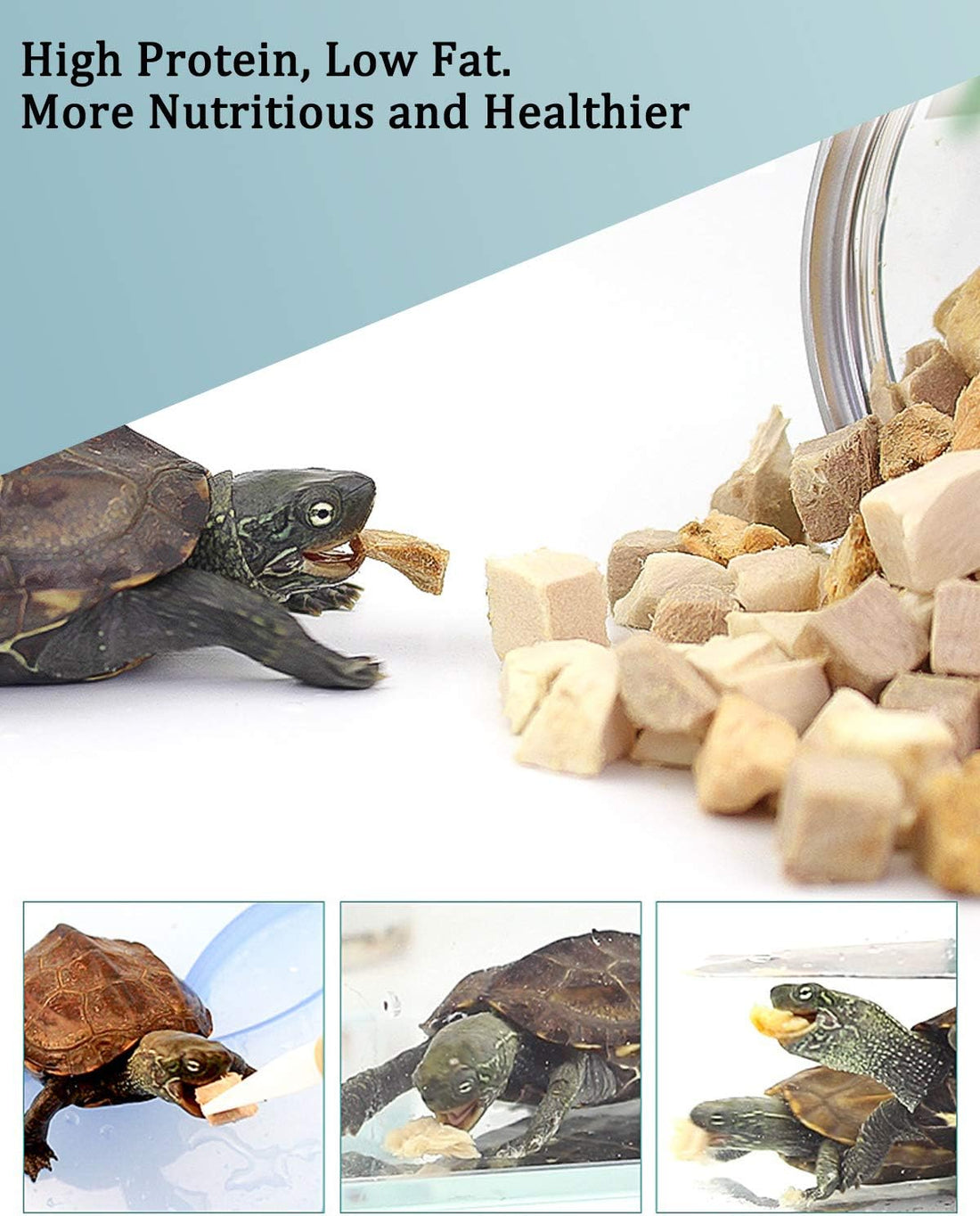 3 IN 1 Freeze Dried Meat Turtle food