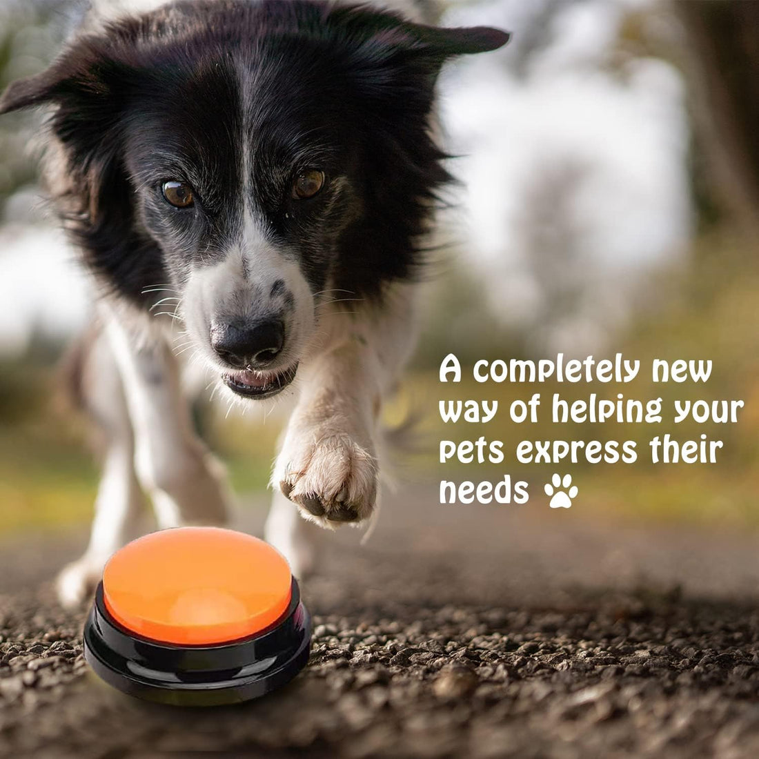FINEST+ Voice Recording Dog Communication Buttons