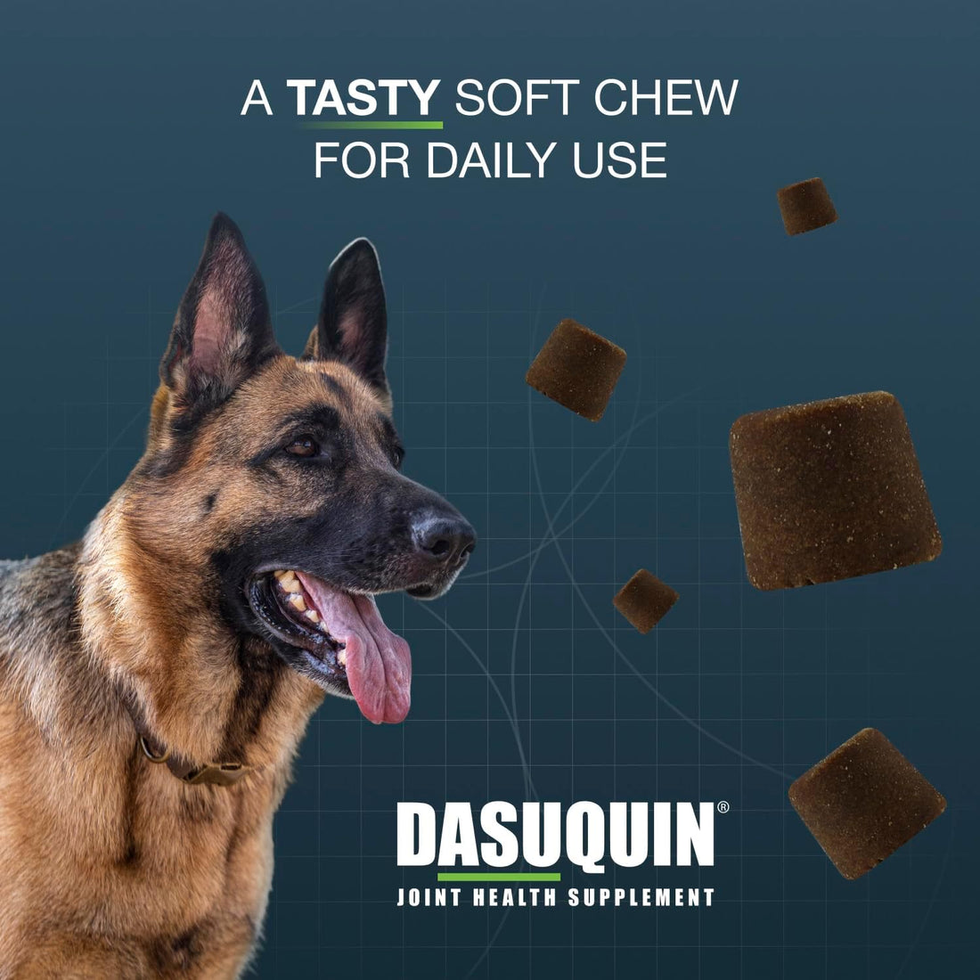Nutramax Dasuquin for Large Dogs, Joint Health Supplement