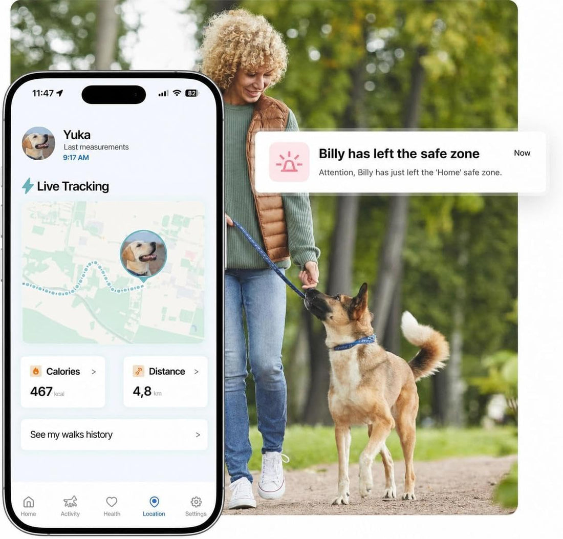 Invoxia Biotracker 2026 Edition - Health and GPS Tracker for Dogs