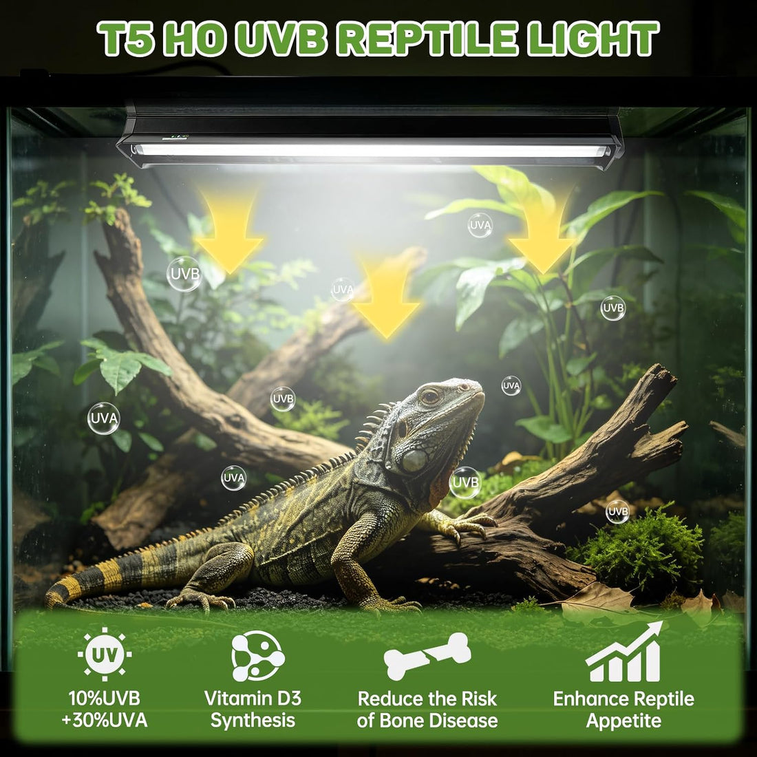 T5 UVB Reptile Light Fixture, 8W 10.0 UVA UVB Light Bulb 12"