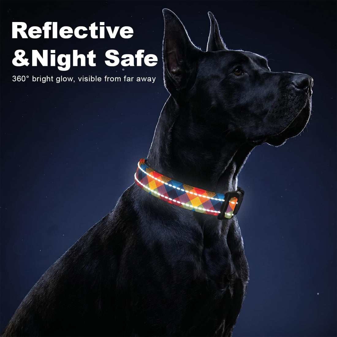 Martingale Dog Collar for Large Dogs