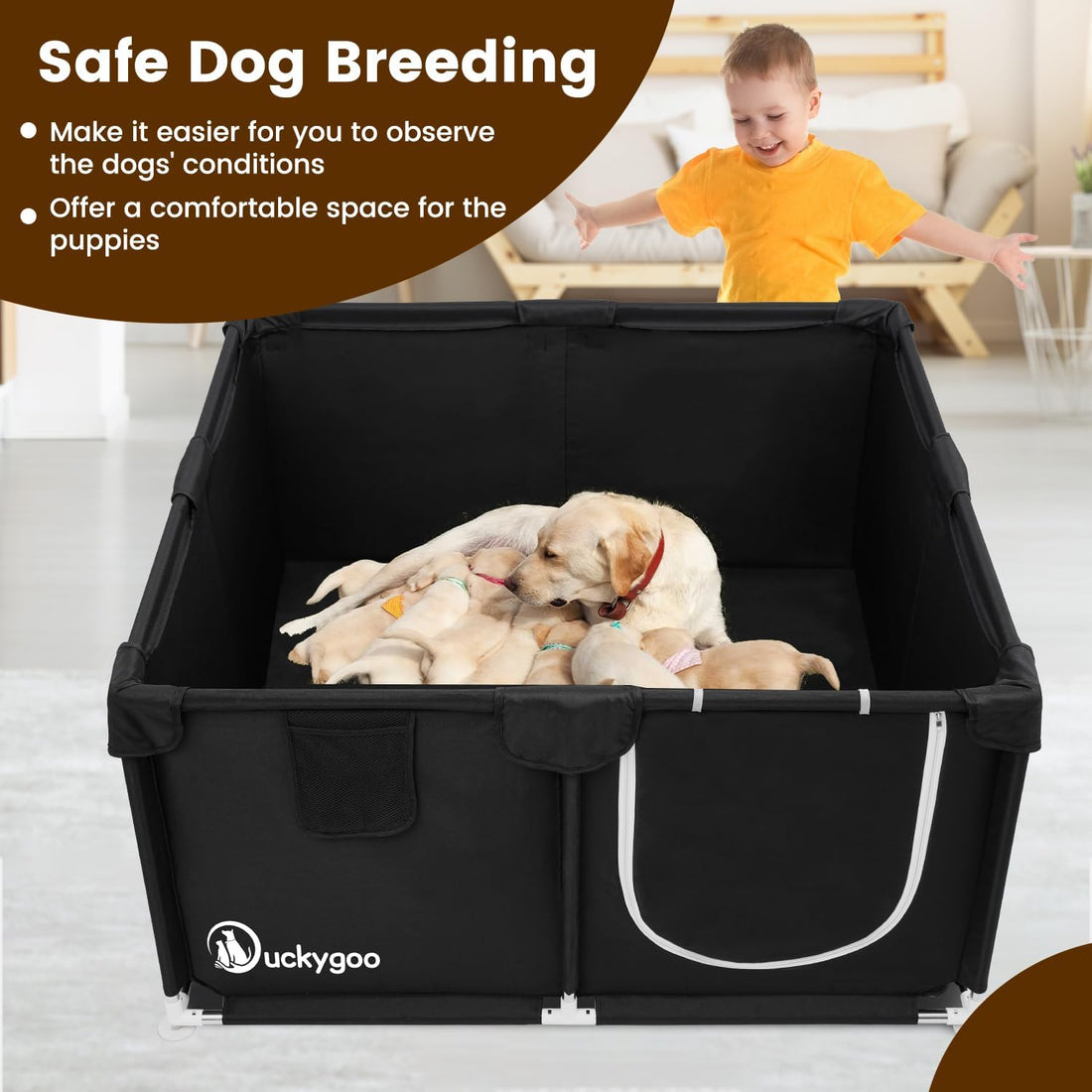 Duckygoo Whelping Box for Dogs