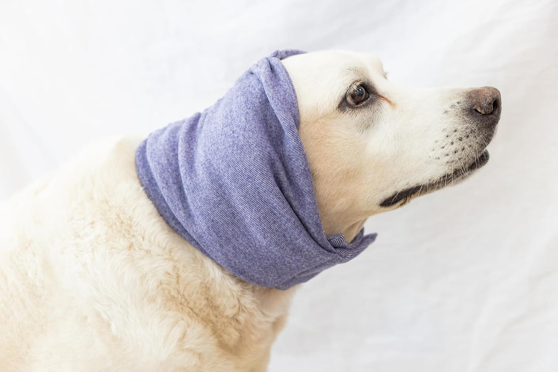 Dog Ear Muffs for Noise Protection Purple L