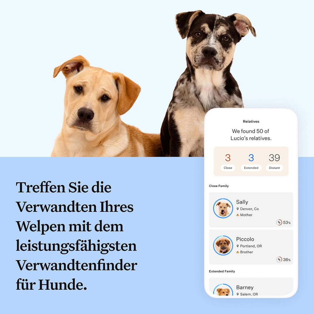 Wisdom Panel Dog Breed Detection DNA Test Kit