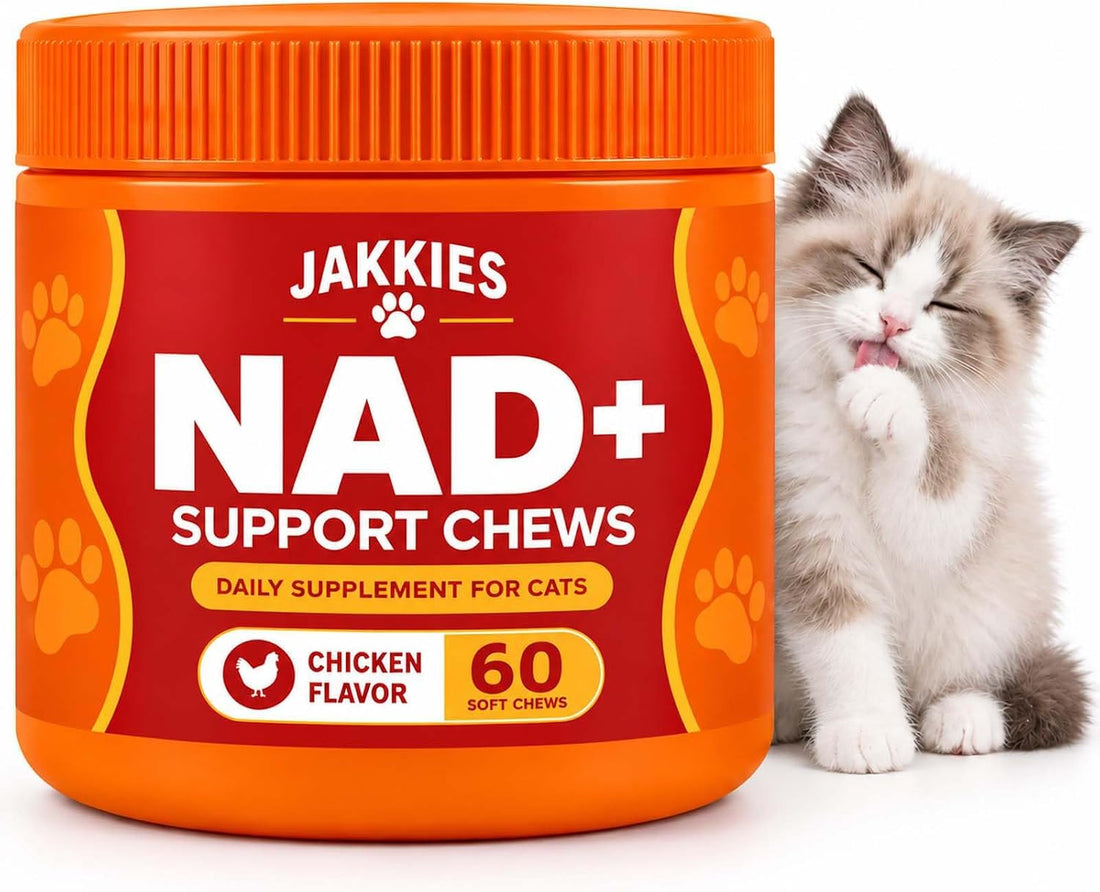 Support Chews for Cats, Energy & Vitality, Immune System