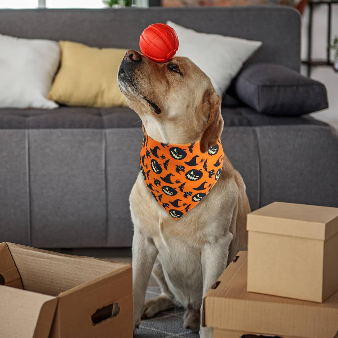 Halloween Dog Bandana Large -1 Pack, Reversible Dog Scarf